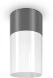 Уличный потолочный светильник Maytoni Willis O418CL-01GR