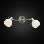 Спот на штанге Citilux Соната CL520521 (220V, цветы, круглые)