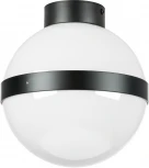 Потолочный светильник круглый Lightstar Globo 812117 (220V, шар)