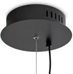 Подвесной светильник Freya Loyd FR5556PL-L22BBS (LED, 220V, на тросе)