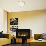 Настенно-потолочный светильник Sonex Gino 2045/EL (регулировка яркости, LED, 220V, пульт управления, IP43)