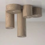 Потолочный светильник круглый DeMarkt Иланг 712010201 (LED, 220V)