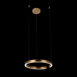 Подвесной светильник Loft IT Ring 10013M (LED, 220V, на тросе, кольцо)