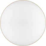 Потолочный светильник круглый светодиодный с пультом и регулировкой цветовой температуры ЭРА Relict 48 Pult SPB-6-60-RC MG (220V, круглые)