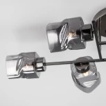 Потолочная люстра на штанге Eurosvet Hilari 30165/6 черный жемчуг (220V)