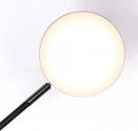 Настенный светильник Favourite Vorago 4631-2W (LED, 220V)