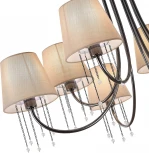 Потолочная люстра Evoluce Alluria SLE1118-802-08