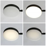 Подвесная люстра DeMarkt Гэлэкси 632017206 (LED, 220V, на тросе)