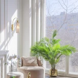 Бра Maytoni Antic MOD302WL-01CG (220V)