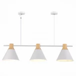 Подвесной светильник Evoluce Modica SLE125103-03