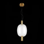 Подвесной светильник ST Luce Allenore SL1582.313.01 (LED, 220V, на тросе, шар)