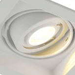 Встраиваемый точечный светильник Arte Lamp Canis A6661PL-1WH (220V)