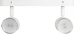 Спот ЭРА OL35-2 WH (220V)