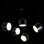 Подвесной светильник Evoluce Trieste SLE120643-05