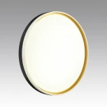 Настенно-потолочный светильник Savi 7619/DL (регулировка яркости, LED, 220V, пульт управления, круглые, IP43)