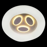 Потолочный светильник круглый светодиодный с пультом регулировкой цветовой температуры и яркости Reluce 10008-0.3-80W PLANET (220V, круглые)