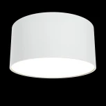 Потолочный светильник Zon 3000K 1x12Вт 120° LED Maytoni Technical C032CL-L12W3K