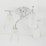 Потолочная люстра Citilux Аэлита CL169141 (220V)