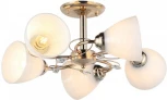 Потолочная люстра на штанге Imex MD.0017-5-S-FGD