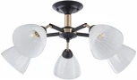 Потолочная люстра на штанге Arte Milano Napoli 324108/5 BK+FG (220V)