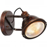 Спот Favourite Industria 1898-1W