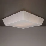 Потолочный светильник Citilux 914 CL914141