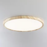 Настенно-потолочный светильник Citilux Бейсик CL738322V (регулировка яркости, LED, 220V, круглые, IP40)