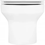 Унитаз подвесной Jacob Delafon Elite EDX114RU-00 безободковый