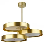 Потолочная люстра L'Arte Luce Brufillio L93009.92