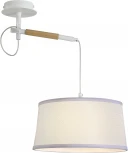 Настенно-потолочный светильник F-Promo Eureka 3005-1P (220V, круглые)