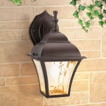 Настенный уличный 1009D Elektrostandard Apus GL a043111