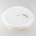 Потолочный светильник RGB круглый светодиодный с пультом Citilux Enzo CL753452G (220V, круглые)