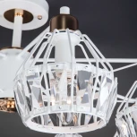 Потолочная люстра Eurosvet Lord 70075/8 белый (220V)