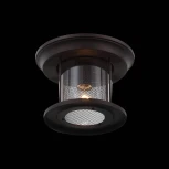 Потолочный светильник уличный ST Luce Lastero SL080.402.01 (220V, IP54)