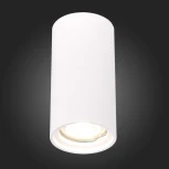 Светильник потолочный ST155 Gipsum ST155.502.01 ST Luce (220V, круглые)