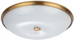 Настенно-потолочный светильник Odeon Light Pelow 4956/6