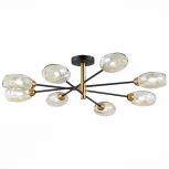 Потолочная люстра Evoluce Gloa SLE155502-08