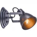 Спот Freya Ibbi FR4276-CW-01-B (220V, круглые)