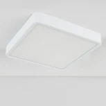 Потолочный светильник Elektrostandard DLR020-DLS020 DLS034 18W 4200K (LED, 220V)