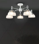 Потолочная люстра на штанге Wedo Light Alana WD3616/5C-WT-CR-WT