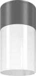 Уличный потолочный светильник Maytoni Willis O418CL-01GR