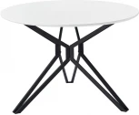 Стол DT-62 белый/черный (d110)