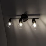 Спот Citilux Бисмарк CL564531