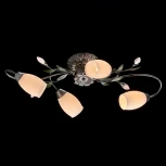 Потолочная люстра MW-Light Верона 334013504