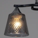 Потолочная люстра на штанге Reluce 06089-0.3-02 BK+CR (220V)