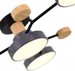 Потолочная люстра на штанге Evoluce Faema SLE6006-702-04