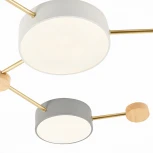 Потолочная люстра Evoluce Dossena SLE600102-06 (LED, 220V)