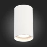 Светильник потолочный ST Luce ST157.532.20 (LED, 220V, круглые, IP44)