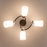 Потолочная люстра Citilux Сиерра CL119241 (220V)