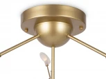 Потолочная люстра на штанге Florencia FR5049CL-36G Freya (220V, лепестки, ветки)